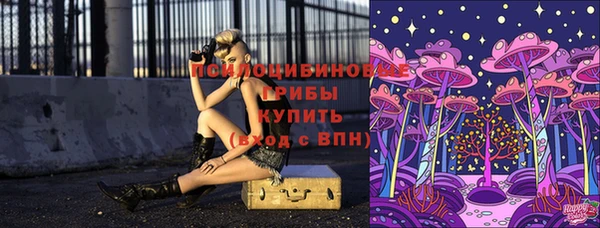 мет Абинск