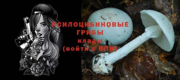 мет Абинск